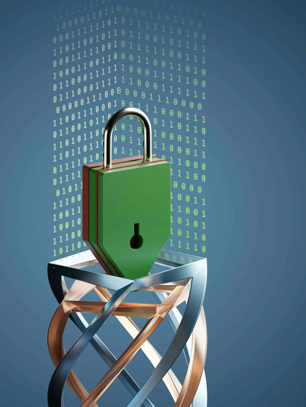 Data Security in High-Risk Payment Processing