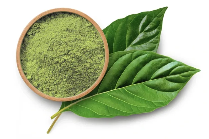 Embracing Mobility: Exploring Mobile Payment Solutions for Kratom Vendors