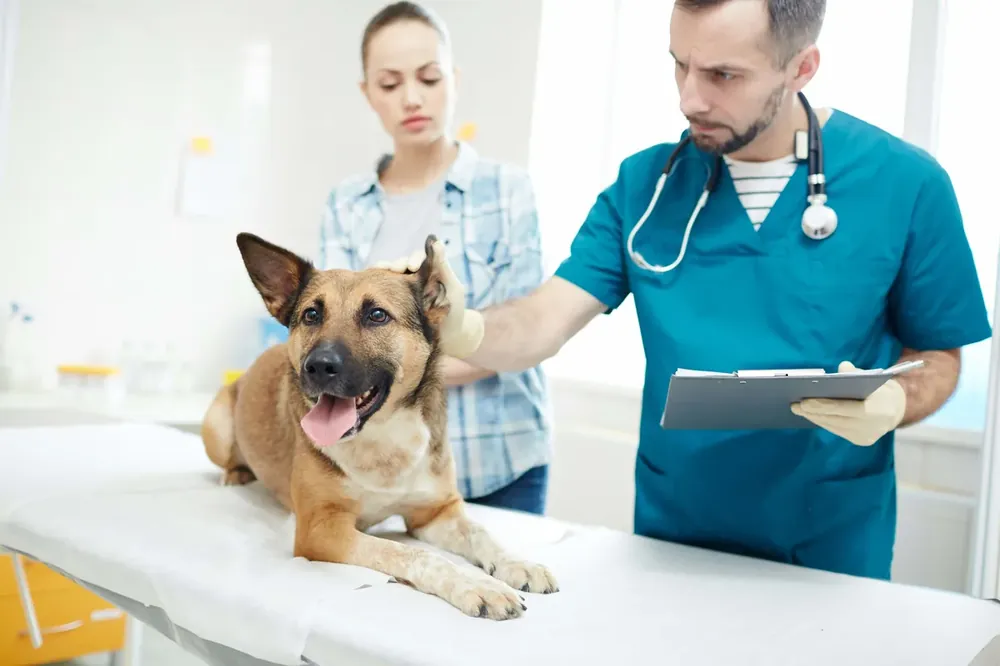 SeamlessChex: Easy and Safe Payments for Vets