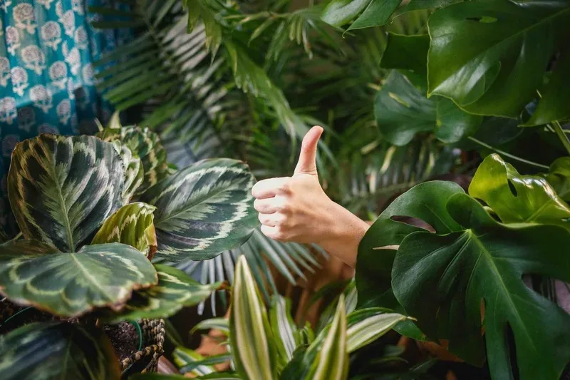E-Commerce Best Practices for Adult Content Sites